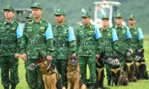 Diễn tập Việt Nam - Ấn Độ về gìn giữ hòa bình